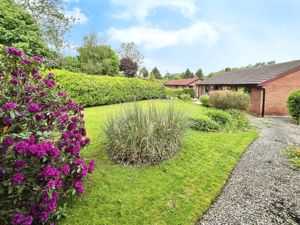 Front Garden- click for photo gallery